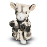 Douglas Lil' Baby Goat Plush Stuffed Animal